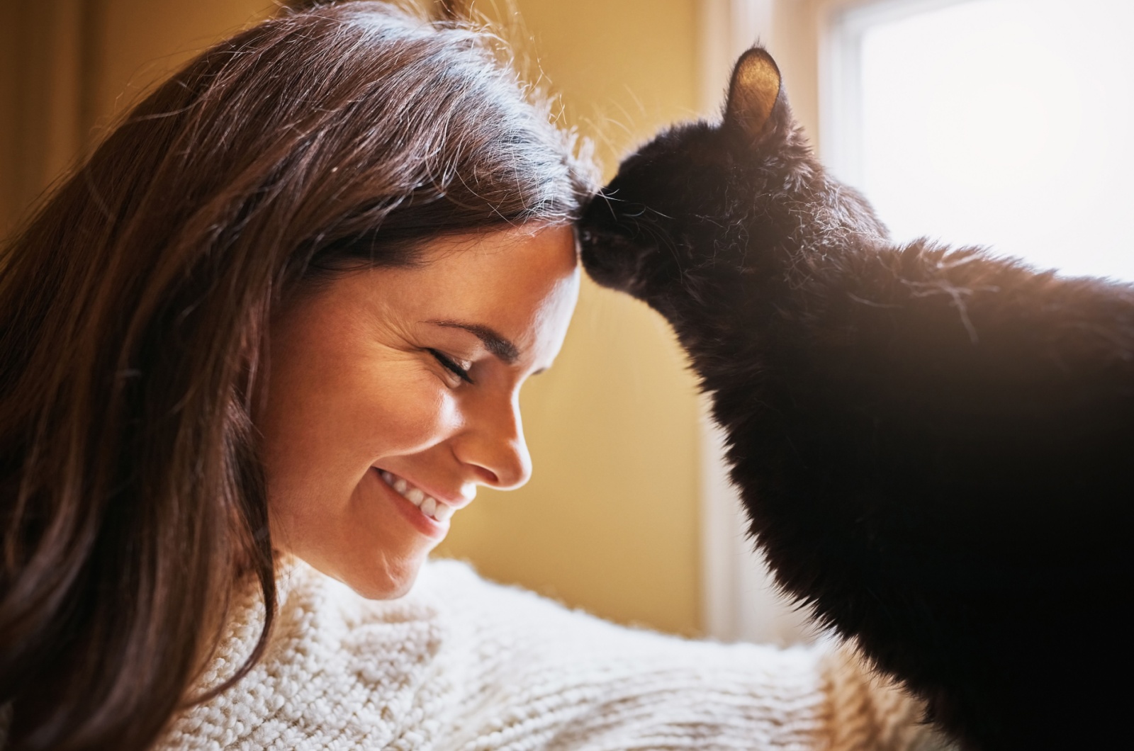 cat licking womans head