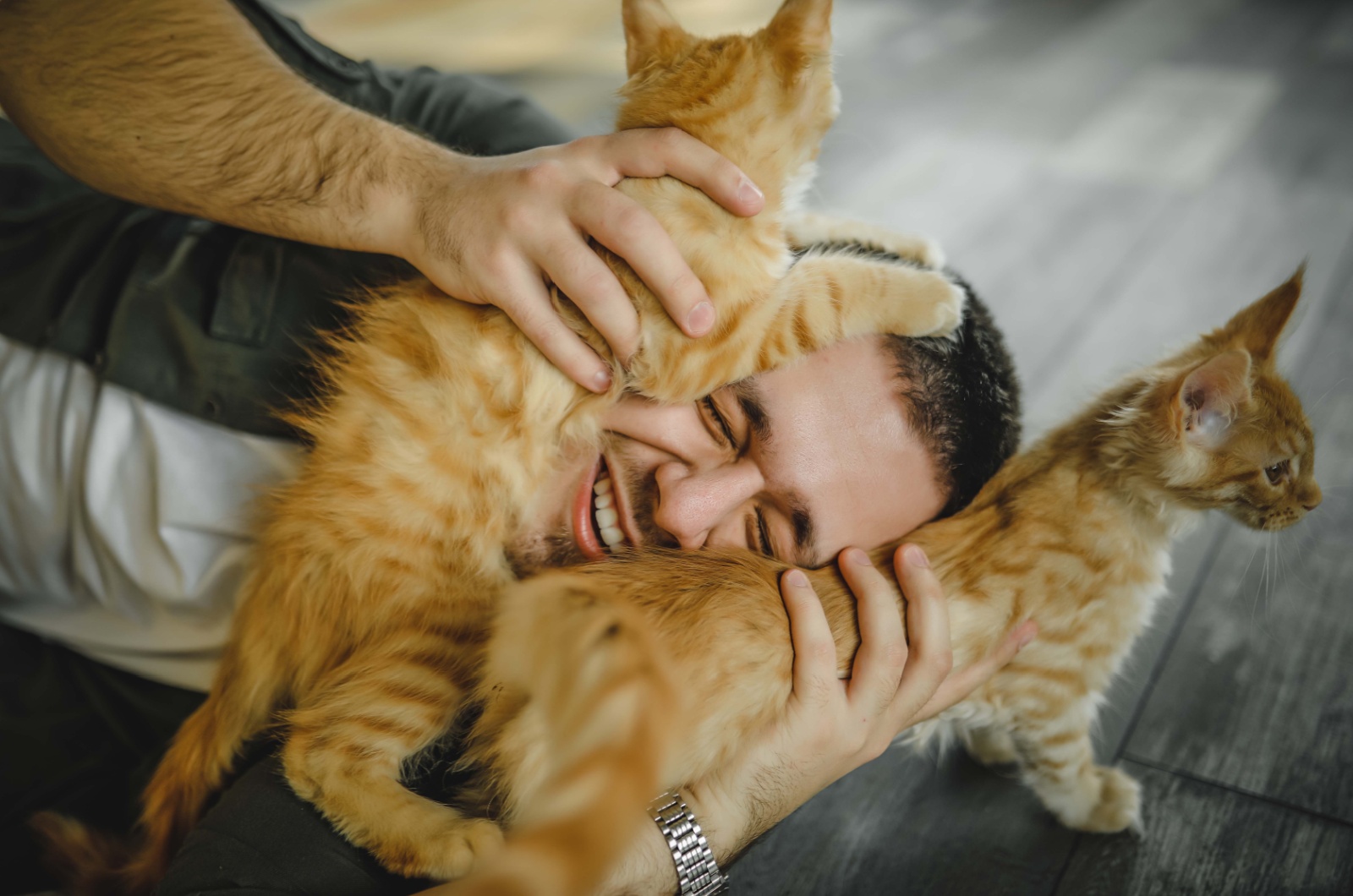 cat on mans head