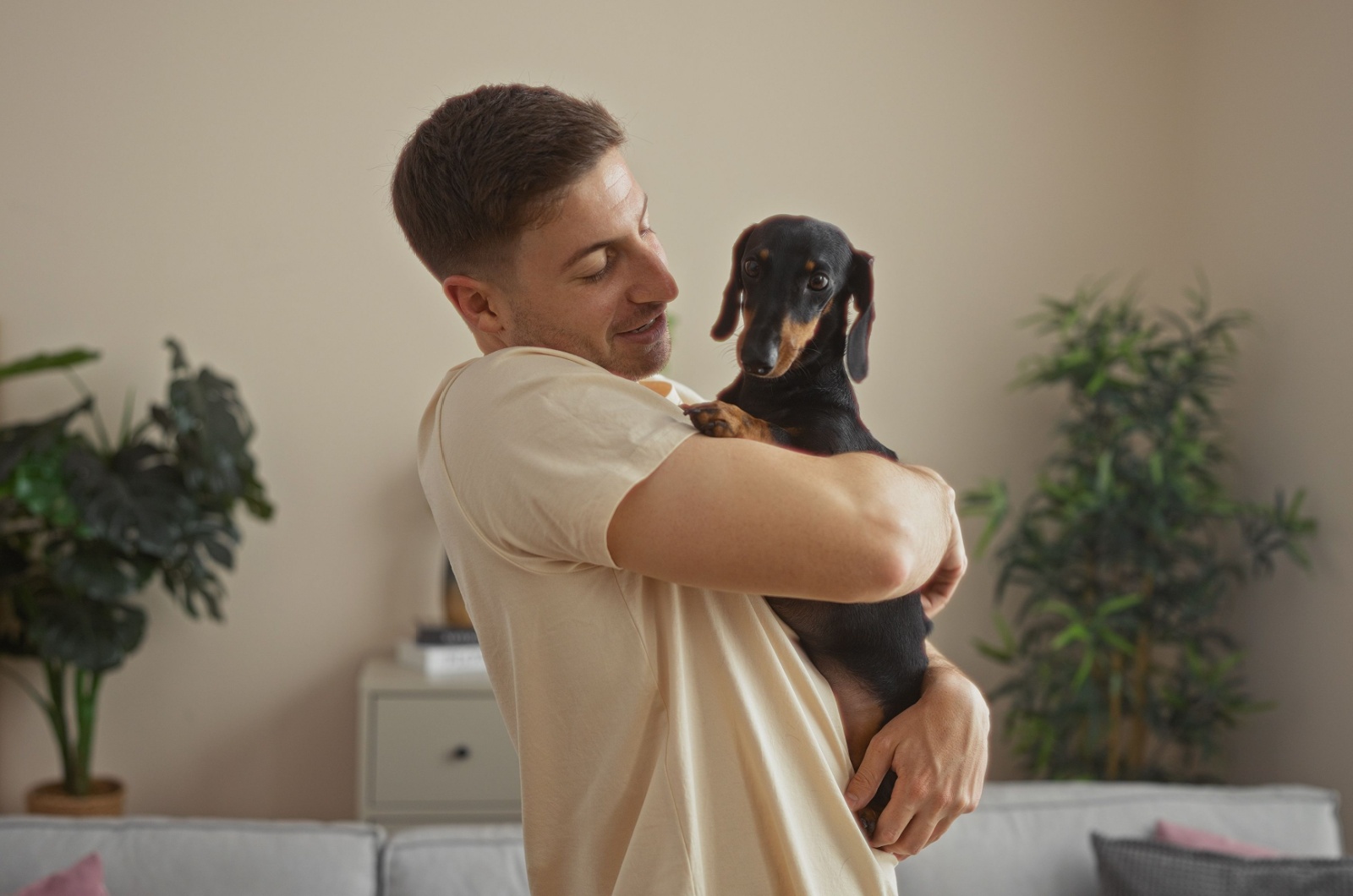 dachshund in house with owner