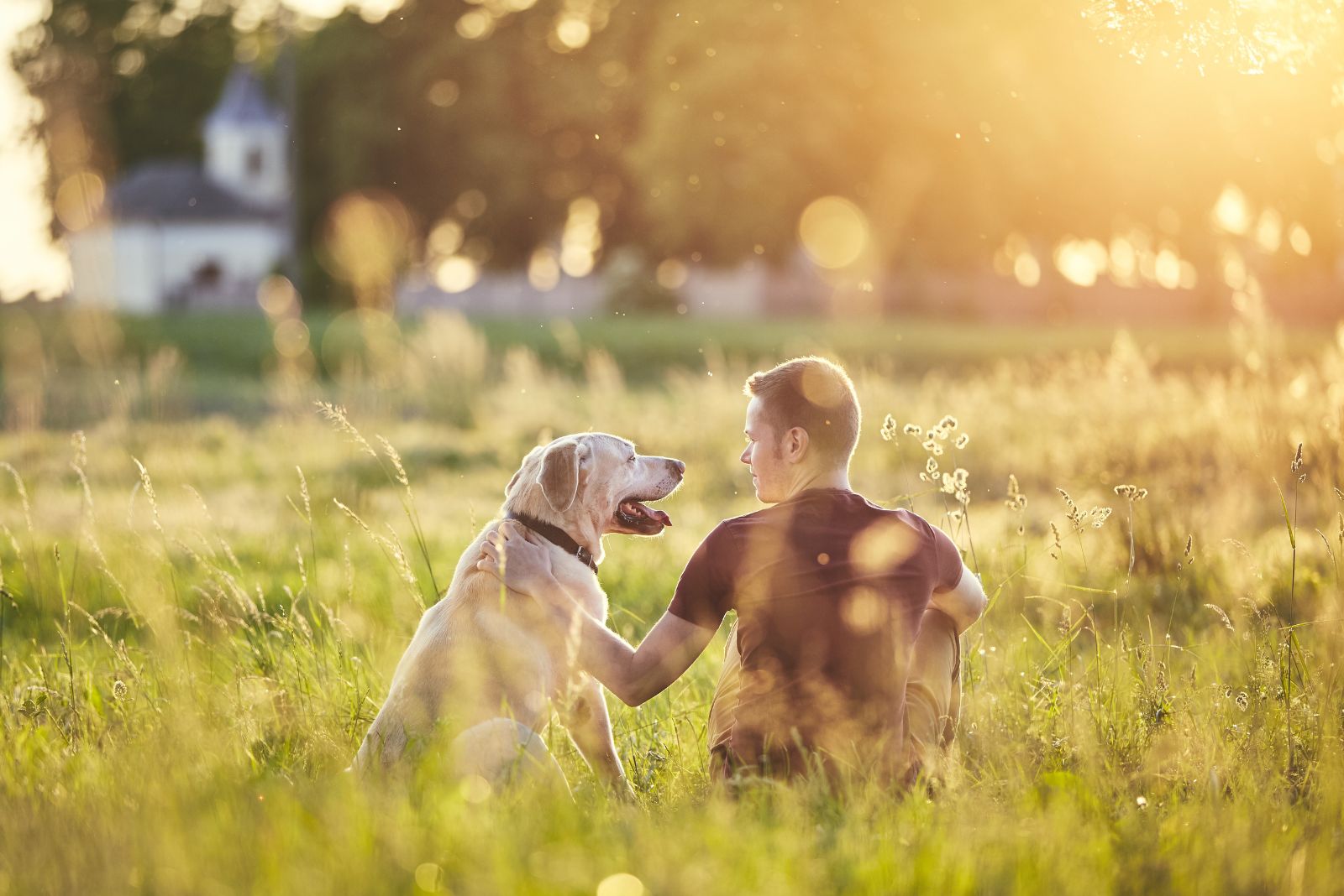 dog and owner sitting