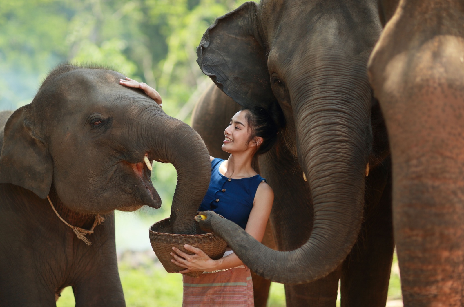 elephant and woman