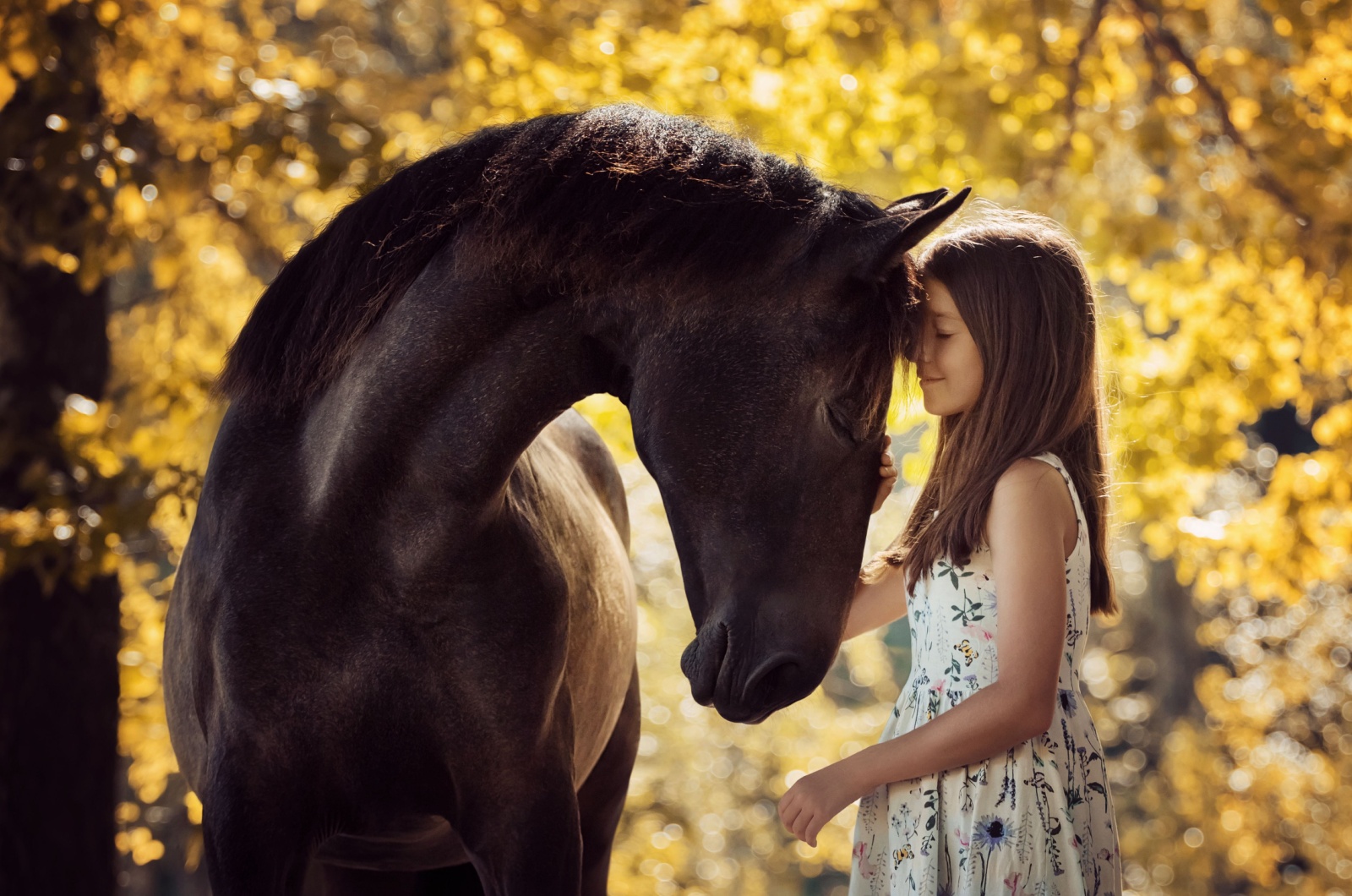 horse and girl