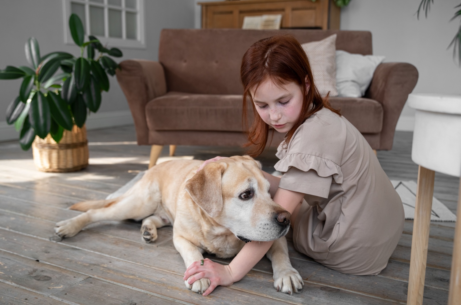 labrador retriever and little girl