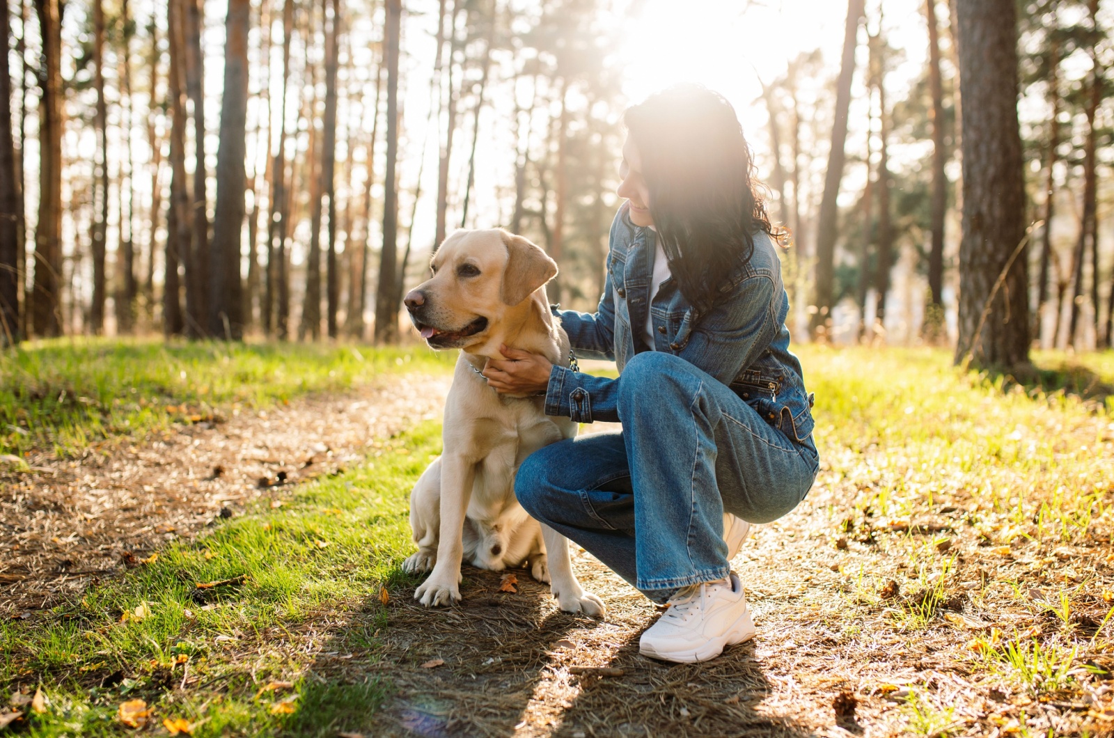 labrador retriever and owner in forest