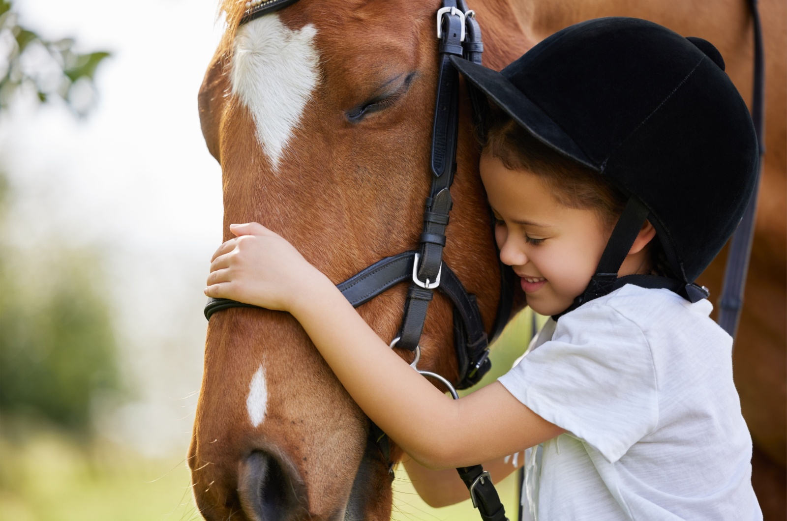 little girl hugging horse