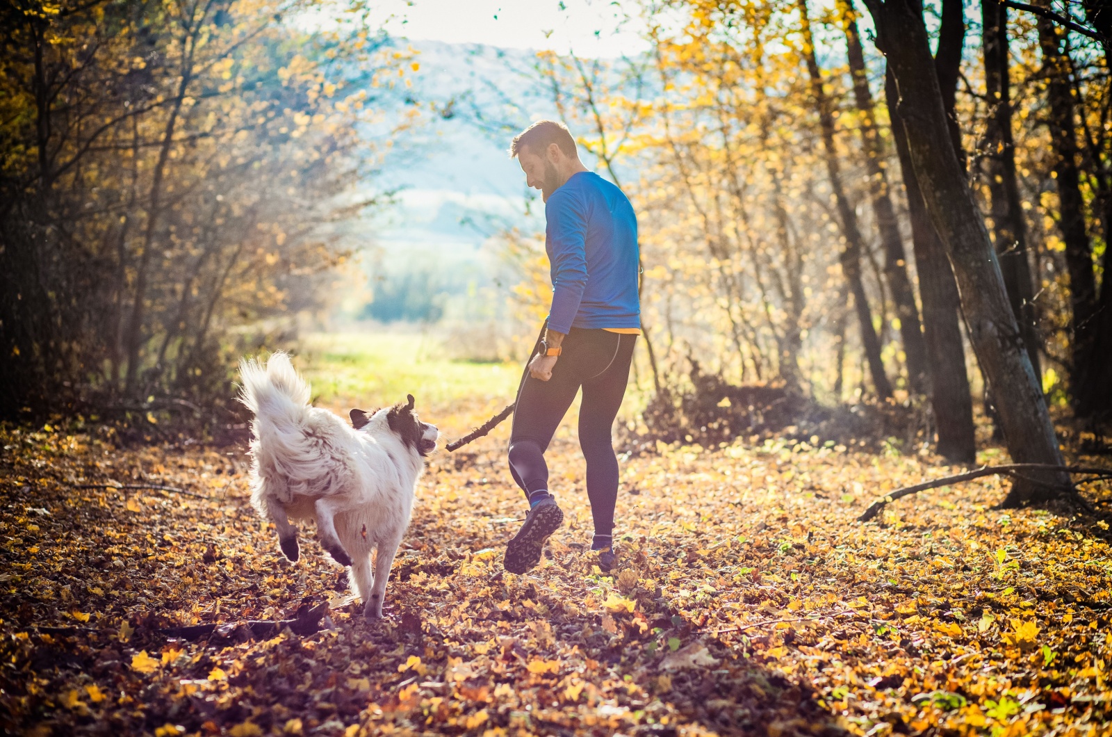 man and dog in forest