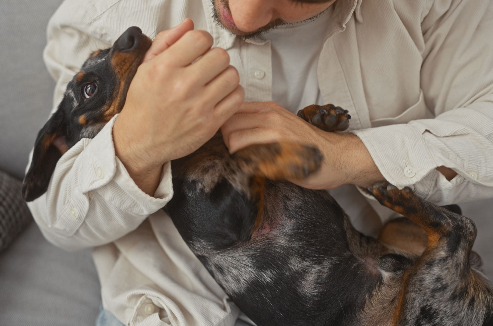 man holding a dachshund dog