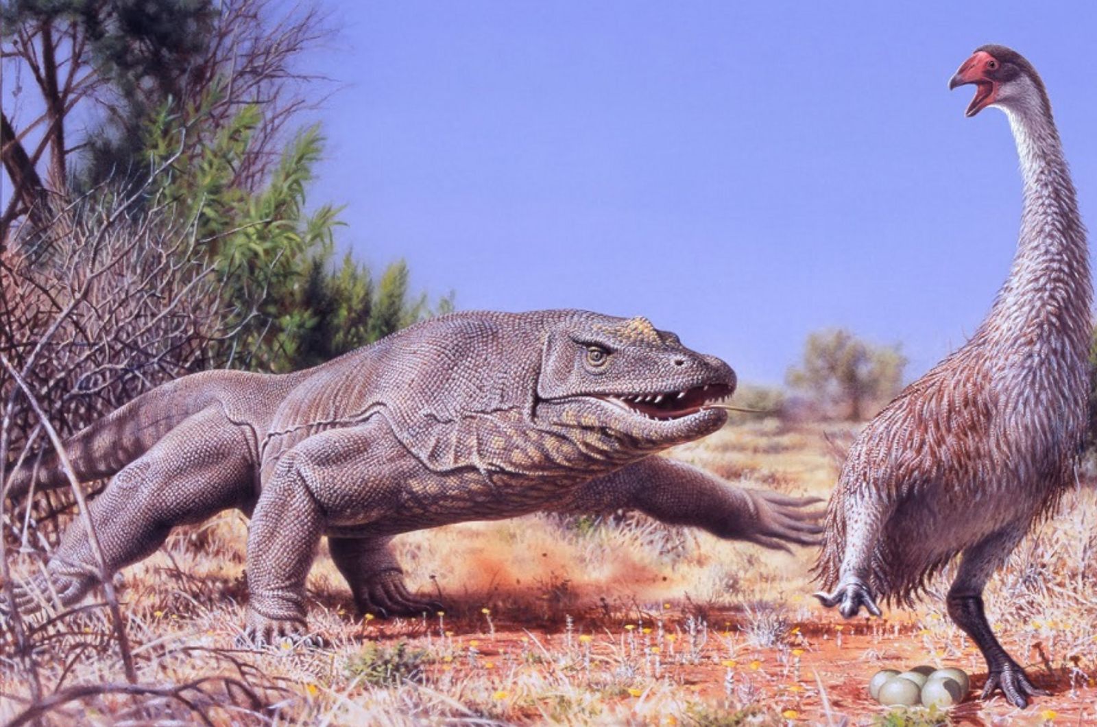 megalania