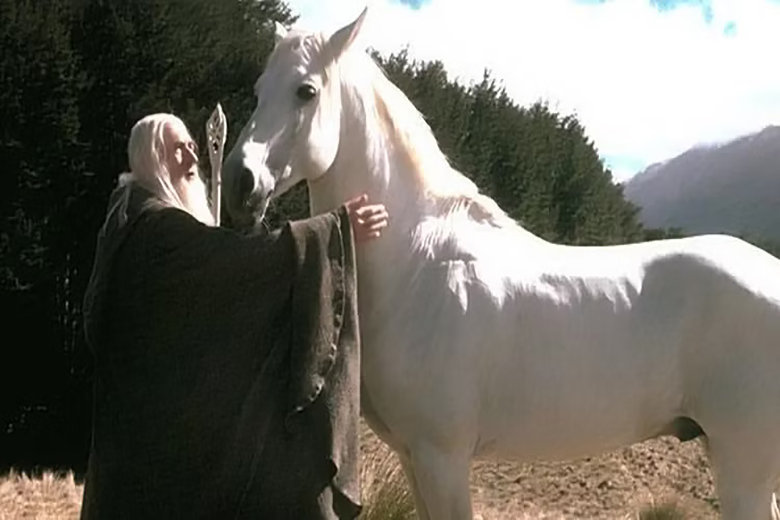 shadowfax