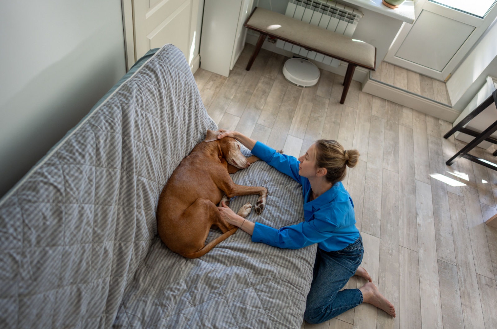 sick depressed dog and owner