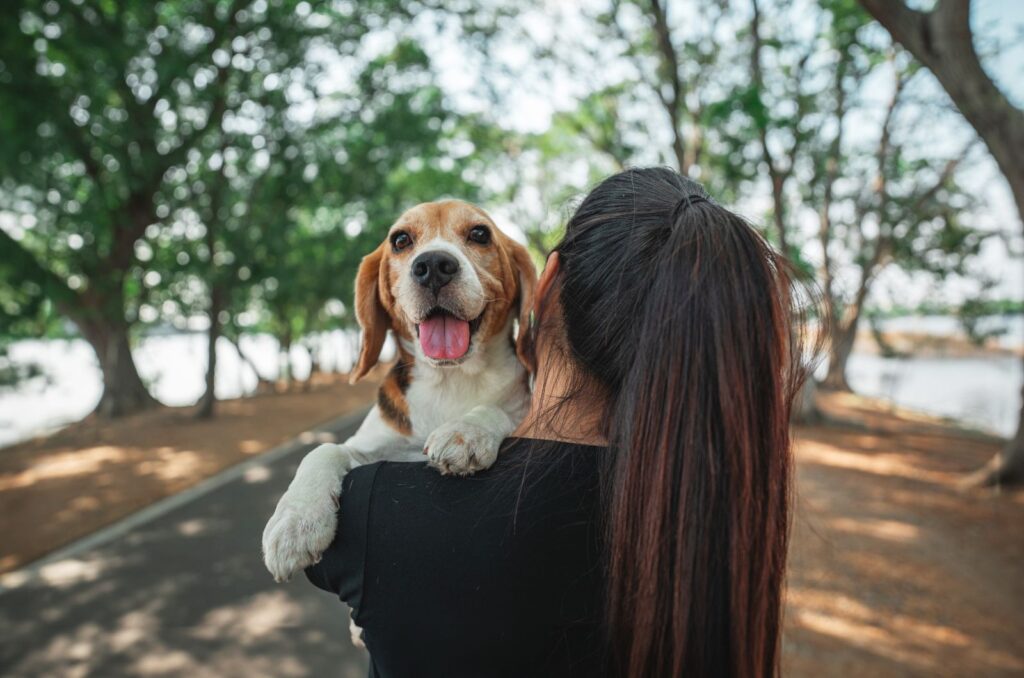 smiling dog in girl's arms