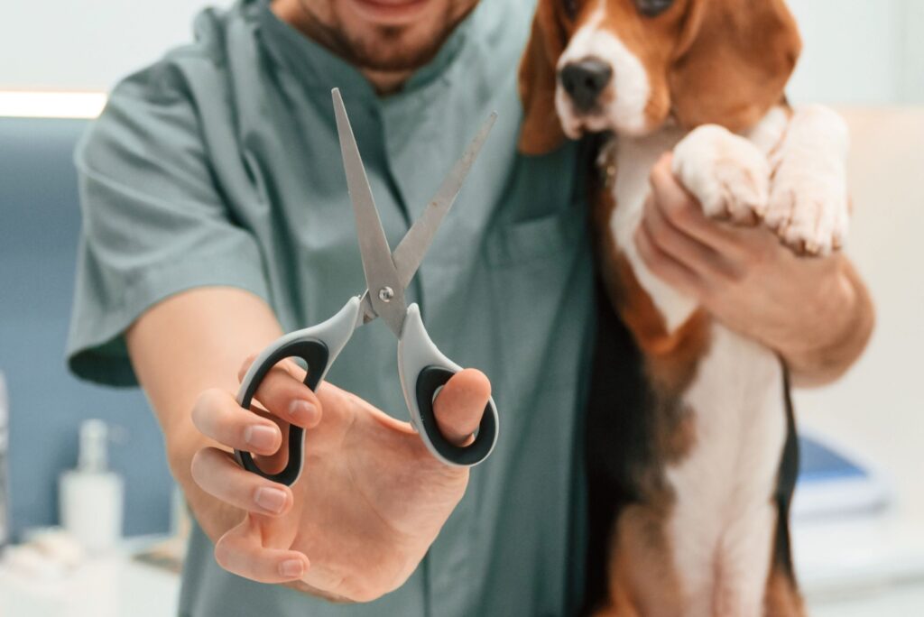 veterinarian holding a dog and scissors