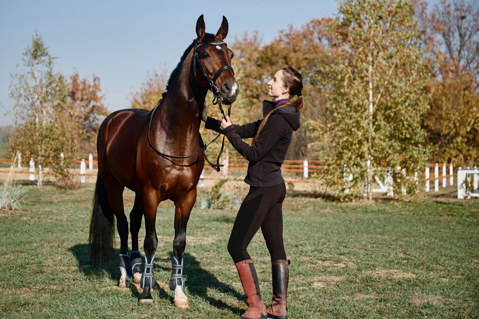 woman and a horse in a field