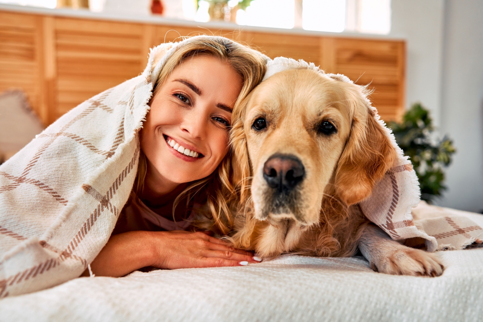 woman and dog lying under a blanket