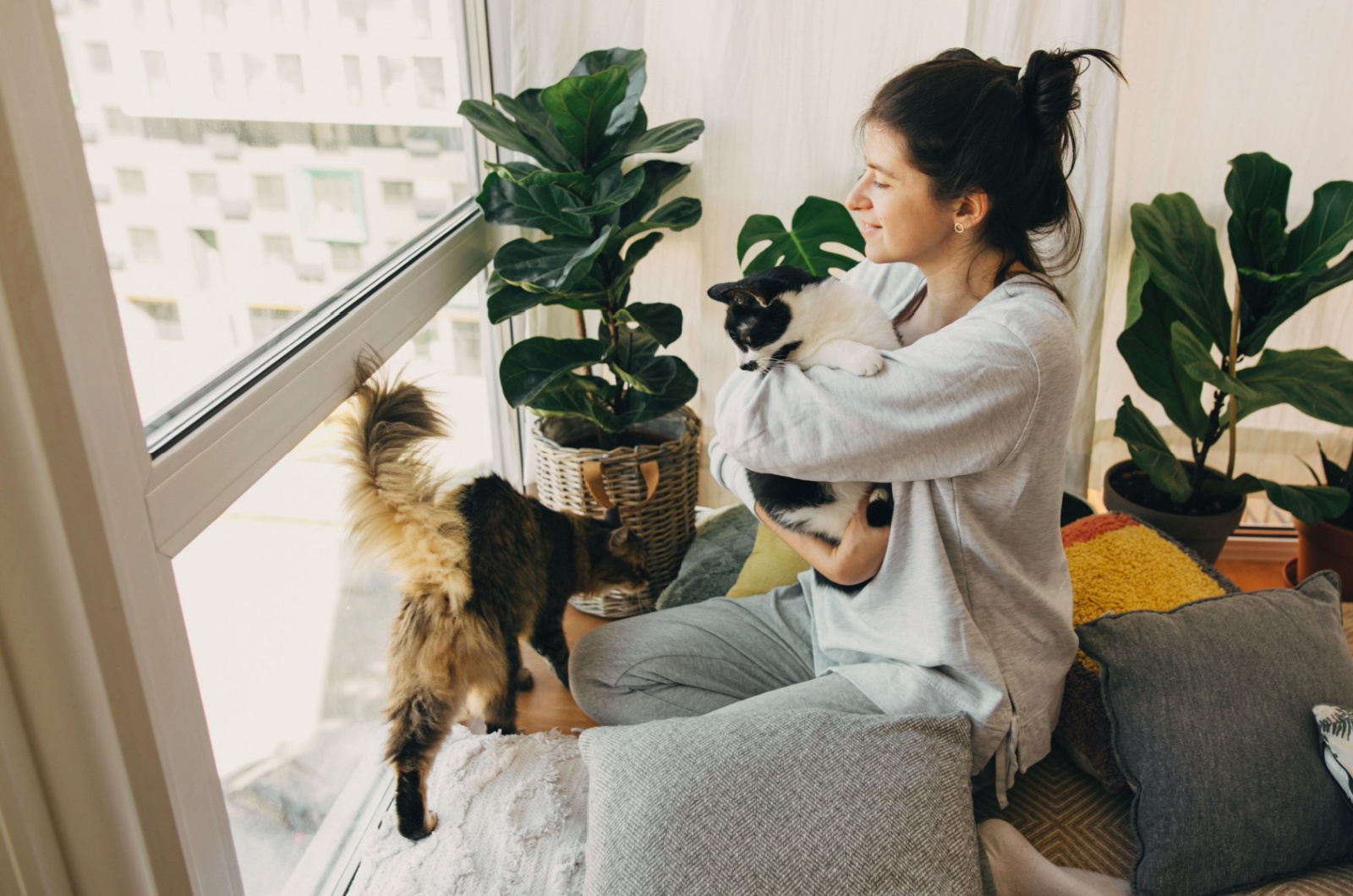 woman and two cats