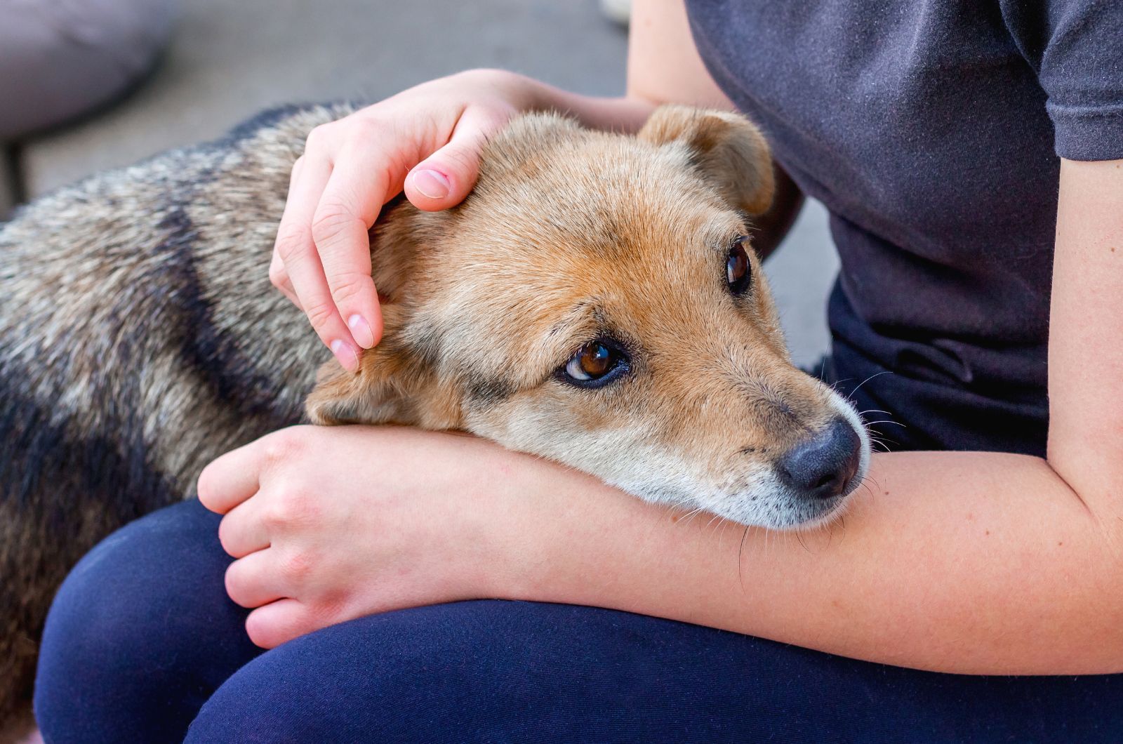 woman cuddles with dog