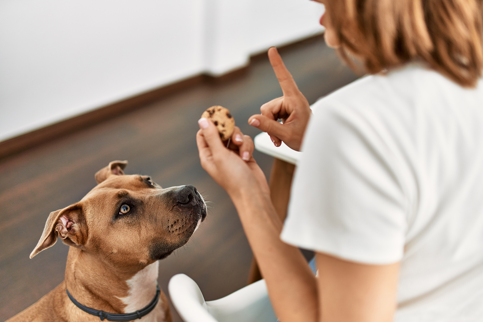 woman holding a chocolate cookie