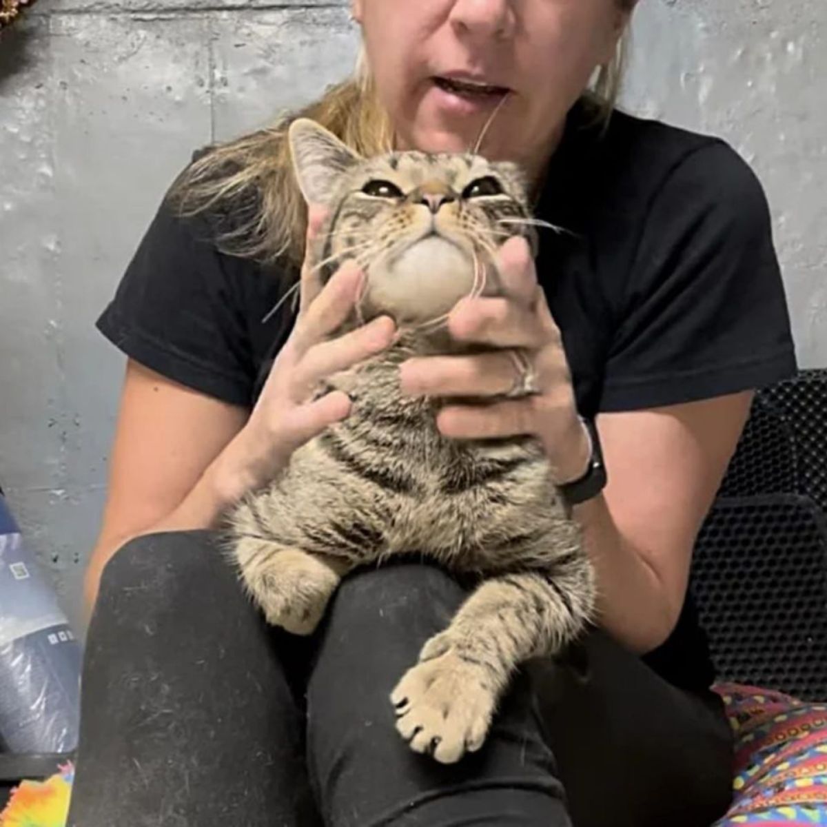 woman holding cat's head