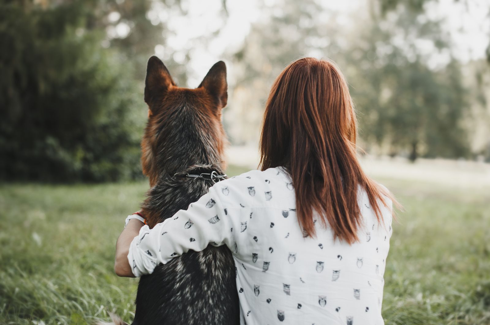 woman in hug with german shepherd dog