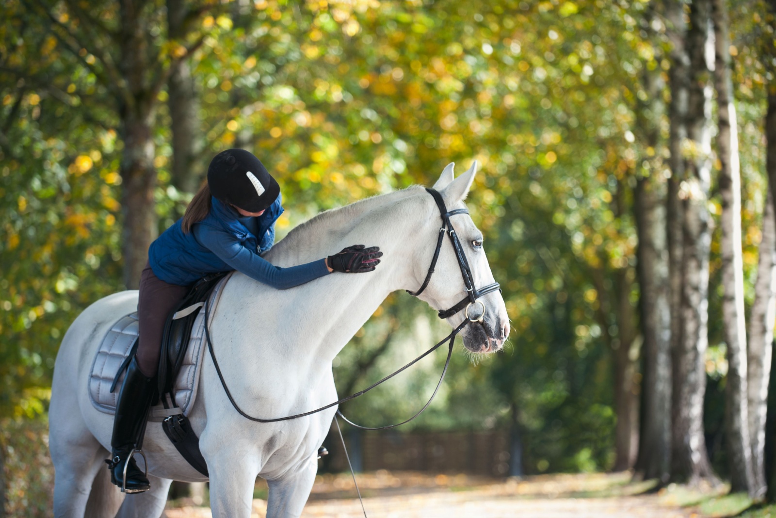 woman riding a horse