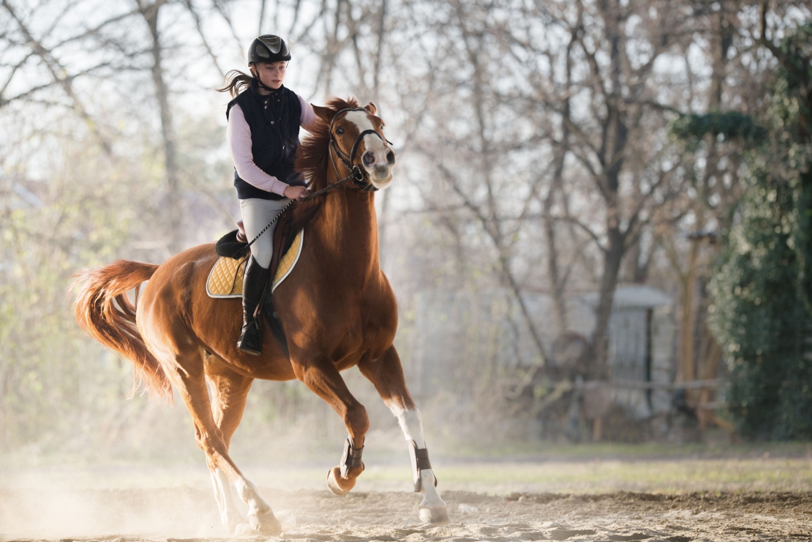 woman riding a horse