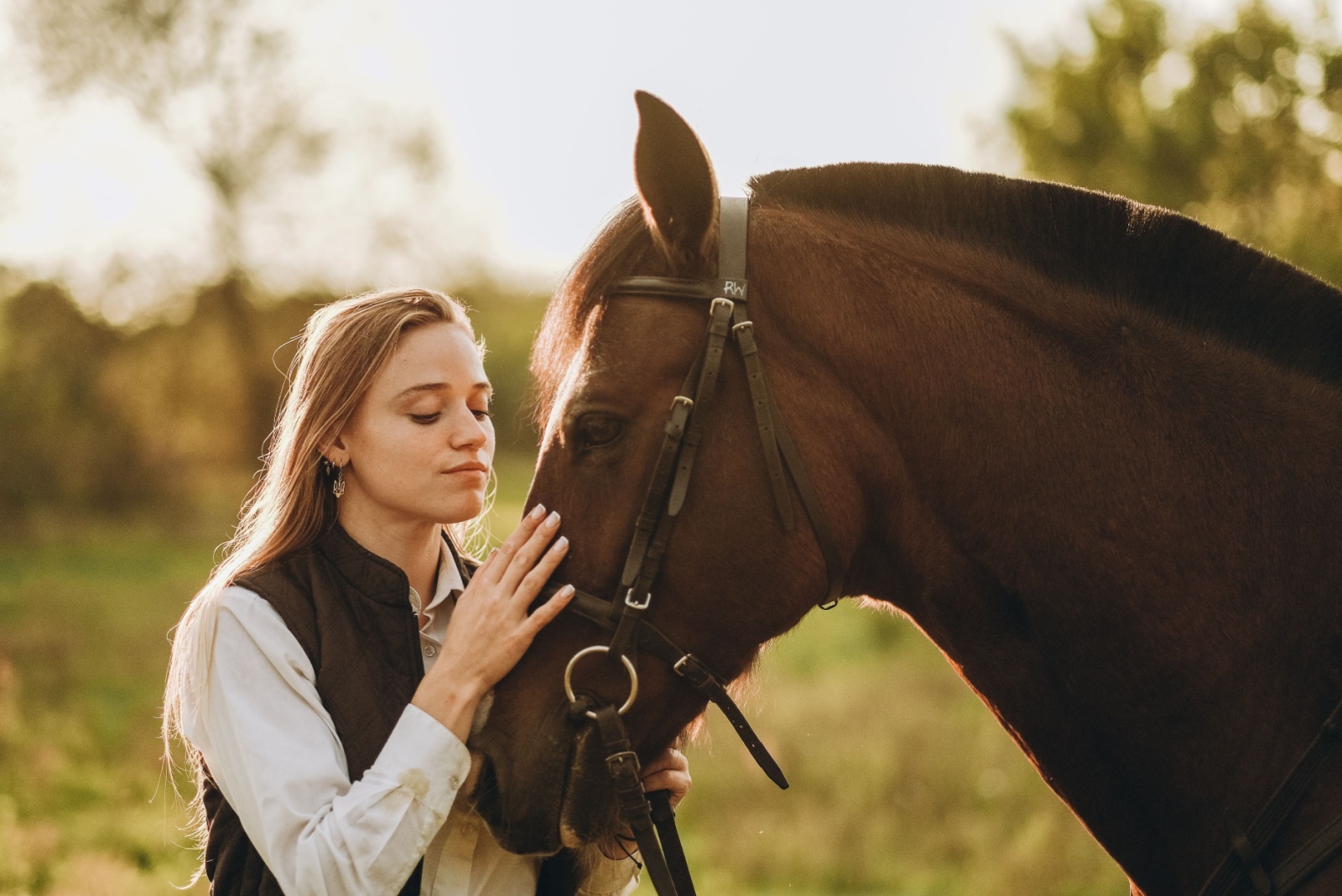 woman touching a horse