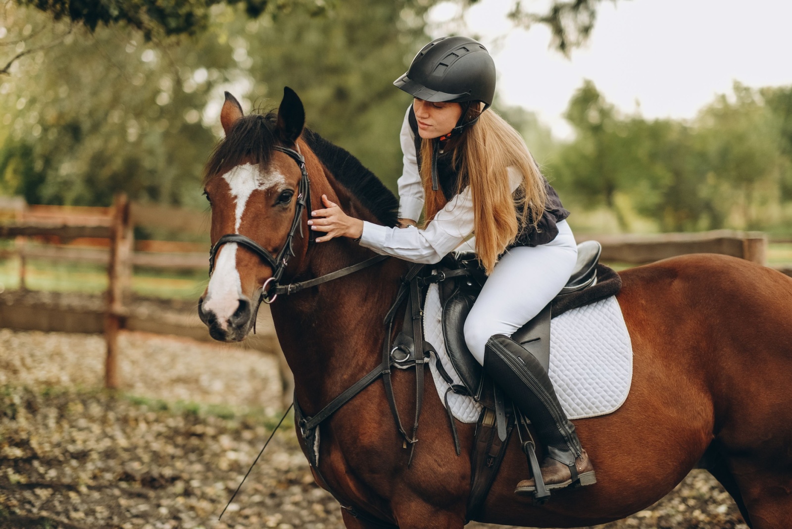 woman training a horse