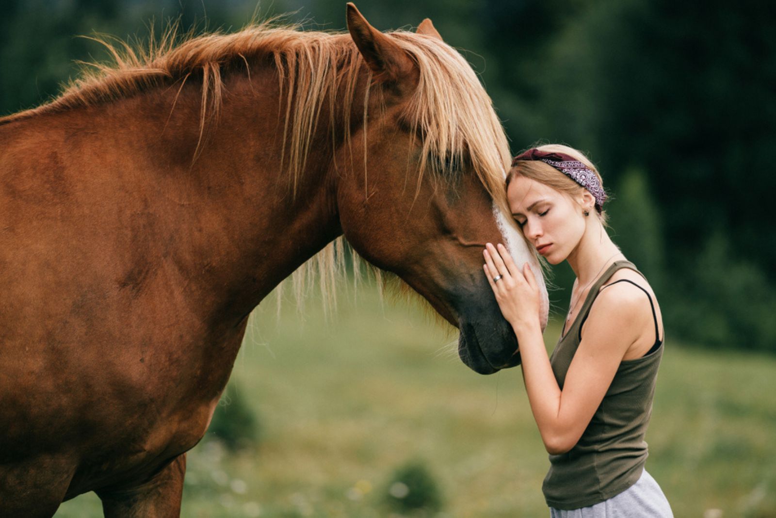 young girl hugging horse