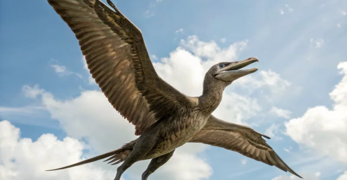 10 Ways Birds Triumphed Over Dinosaurs In The Battle For Survival