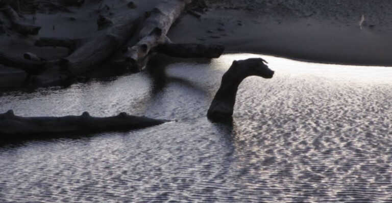 11 Mysterious Legends Of The Great Lakes' Monsters You Won’t Believe Are True