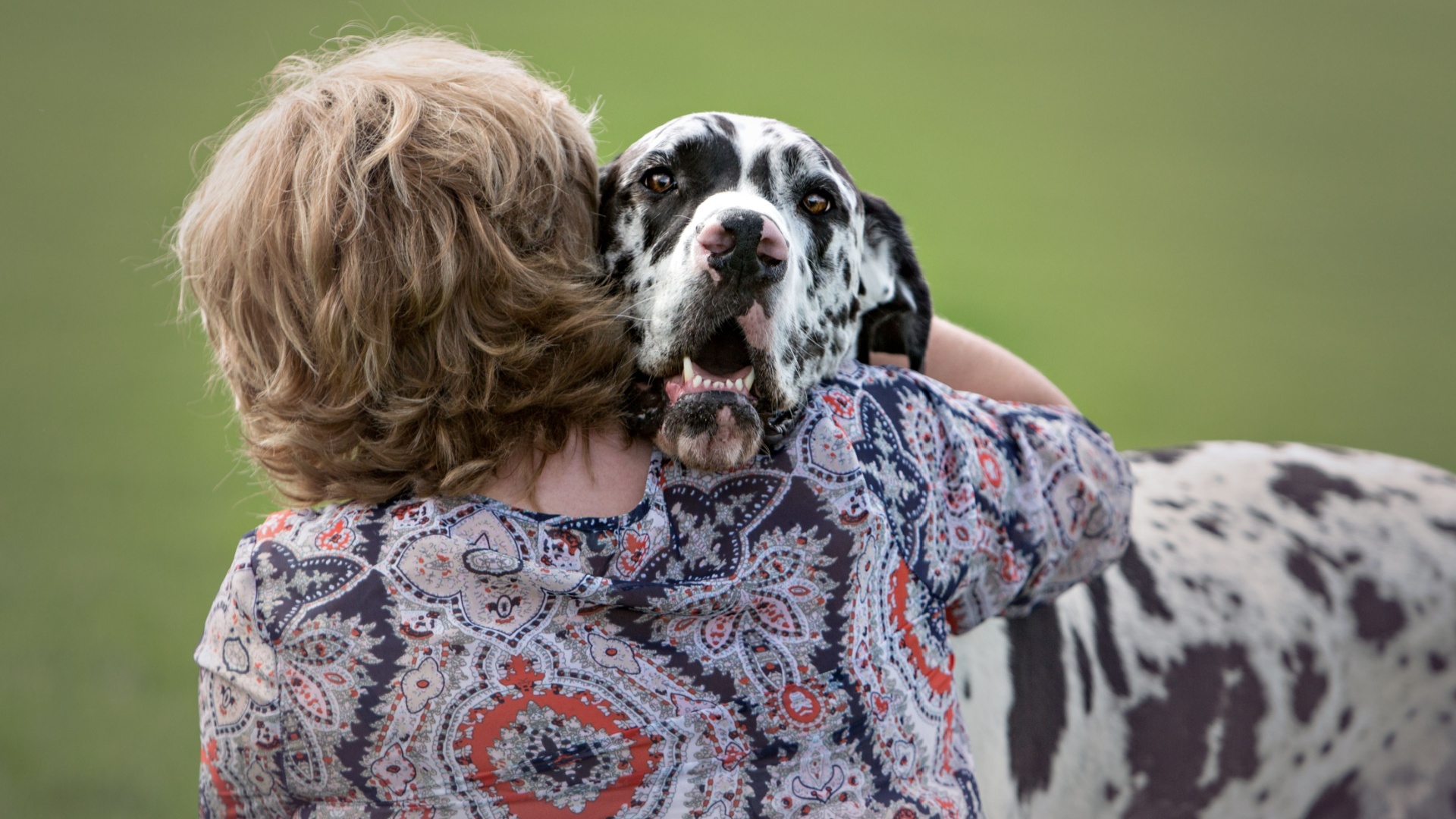 12 Dog Breeds That Bond With Humans On The Deepest Levels