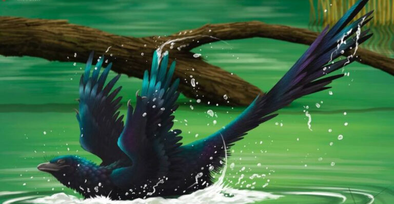 12 Feathered Dinosaurs That Will Redefine Your Idea Of Prehistoric Life