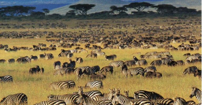 12 Must-See Destinations Every Animal Lover Should Visit At Least Once