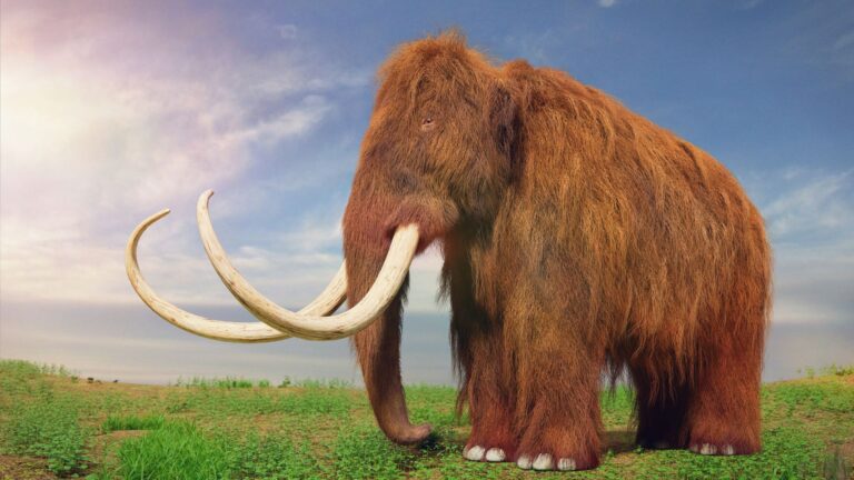 15 Lost Species Scientists Hope To Bring Back To Life