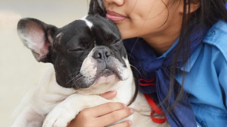 16 Most Affectionate Dog Breeds That Will Melt Your Heart
