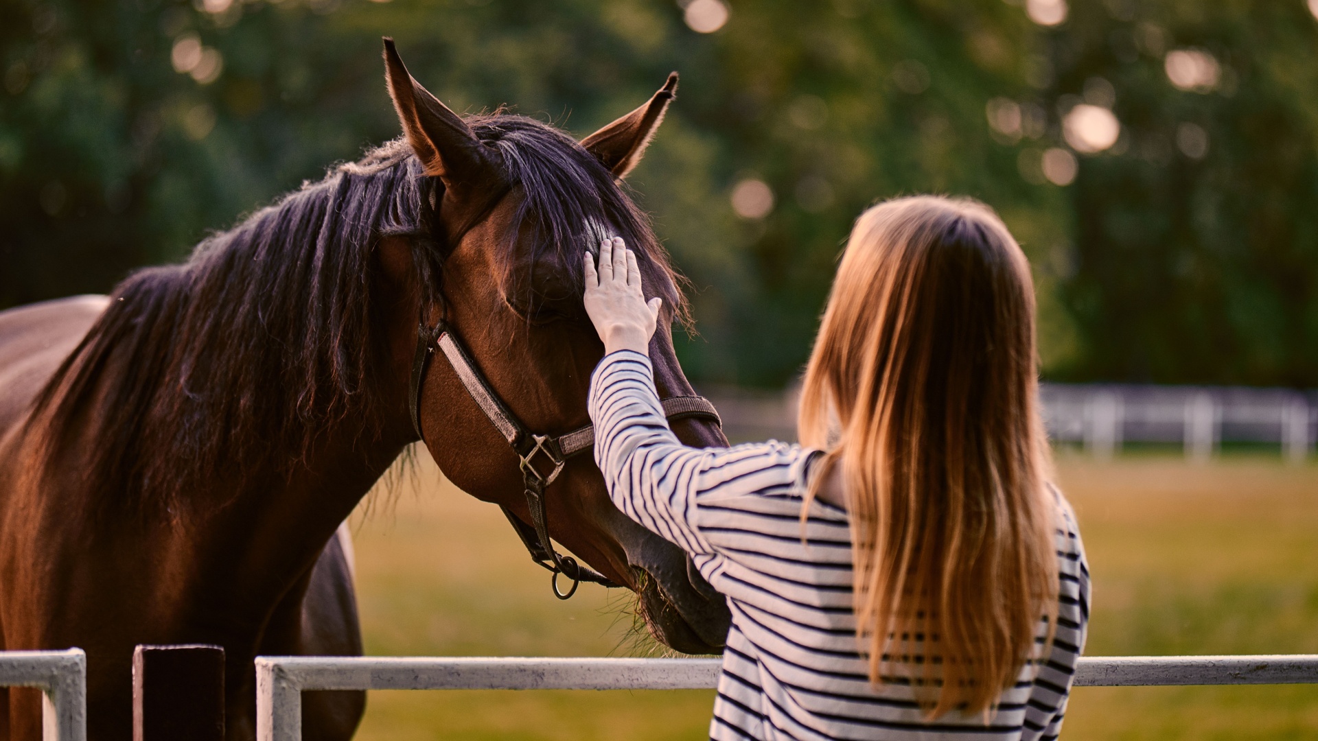 18 Reasons Animal Lovers Are Better People Than Most Humans