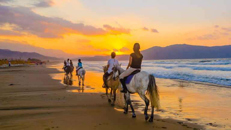 19 Horse Breeds Riders Love For The Ultimate Saddle Thrilll