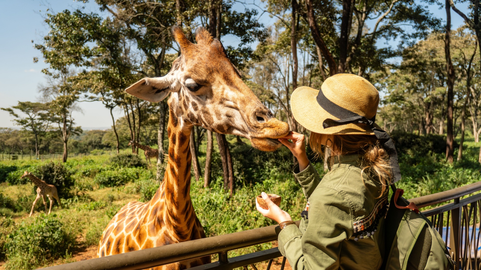 20 Best Zoos In The World Ranked