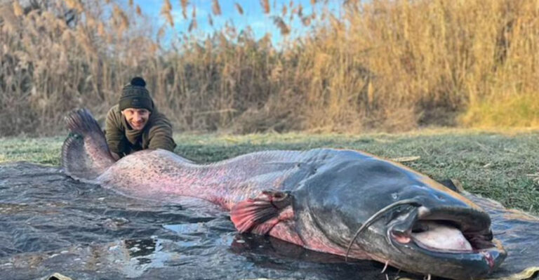 21 Giant River Monsters Around The World And Where They Were Caught