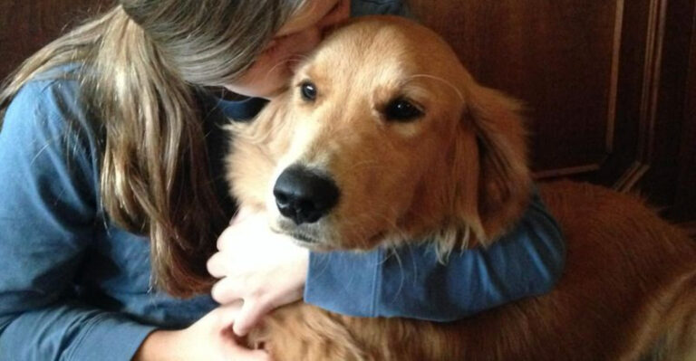 26 Ways Dogs Are Helping Us Live Longer, According To The Latest Research