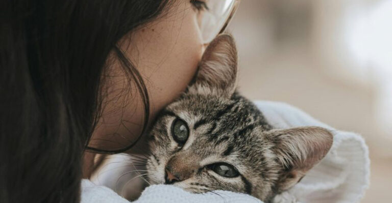 32 Gentle Ways To Heal And Find Peace After Losing A Beloved Pet