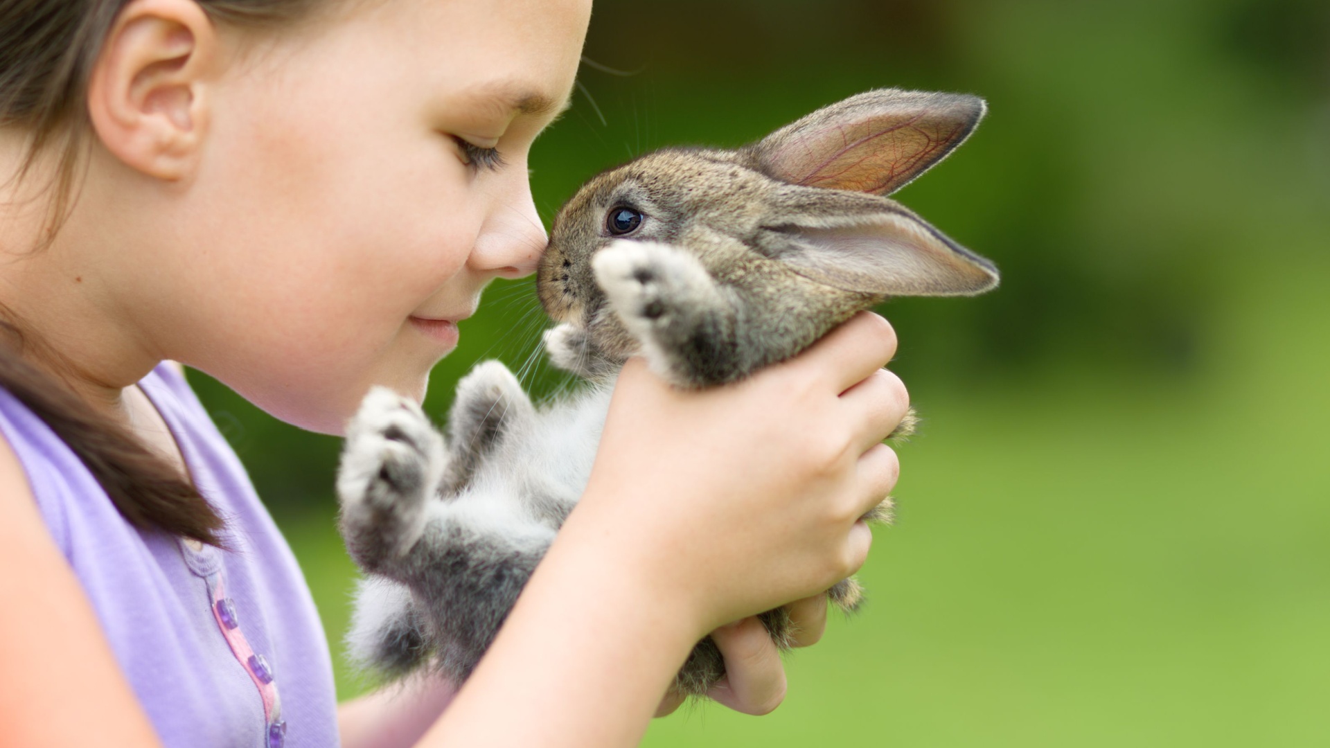 8 Rabbit Breeds That Connect With Humans On The Deepest Levels