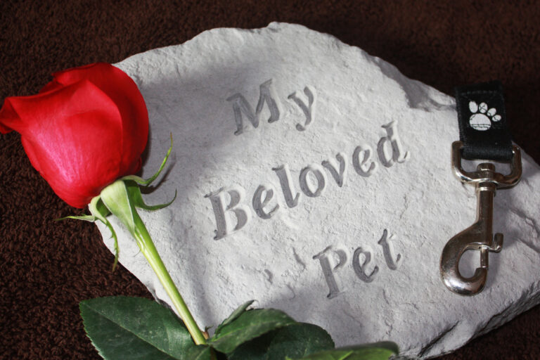 8 Ways To Memorialize A Beloved Pet