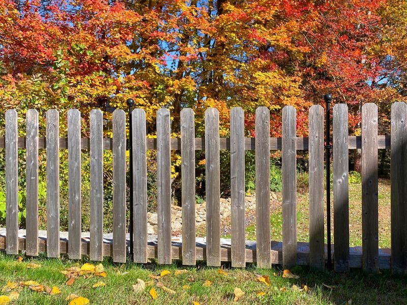 Add Garden Fencing