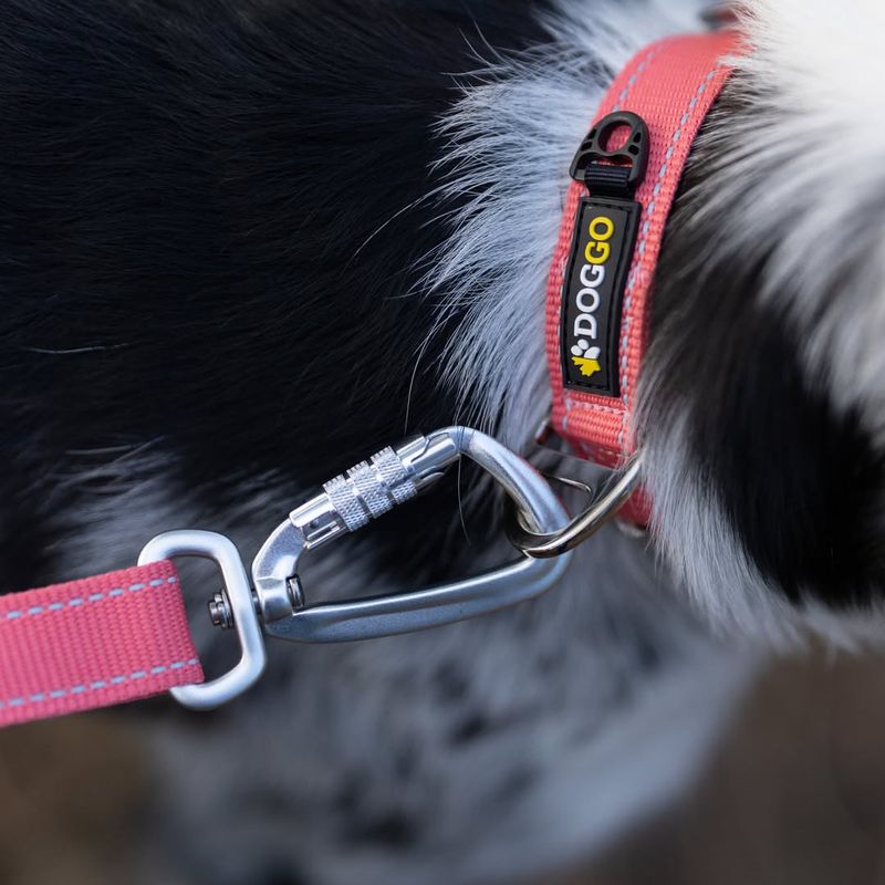 Adjustable Dog Leash