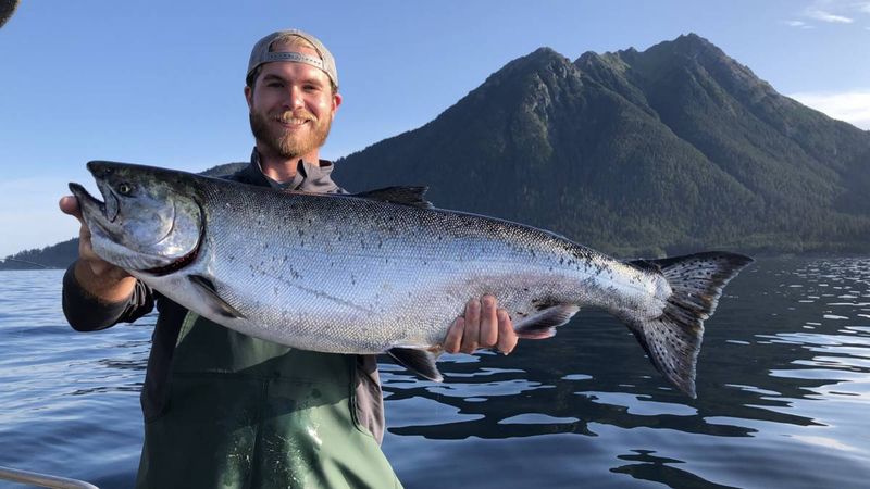 Alaska: King Salmon