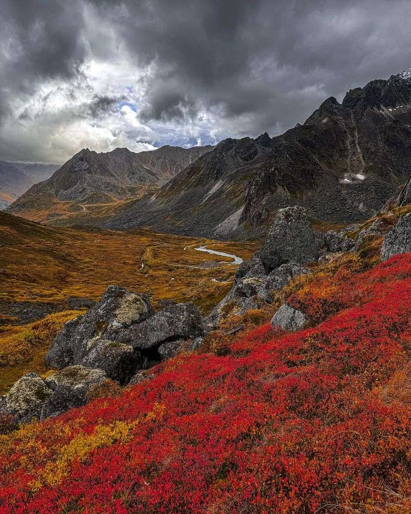 Alpine Tundra