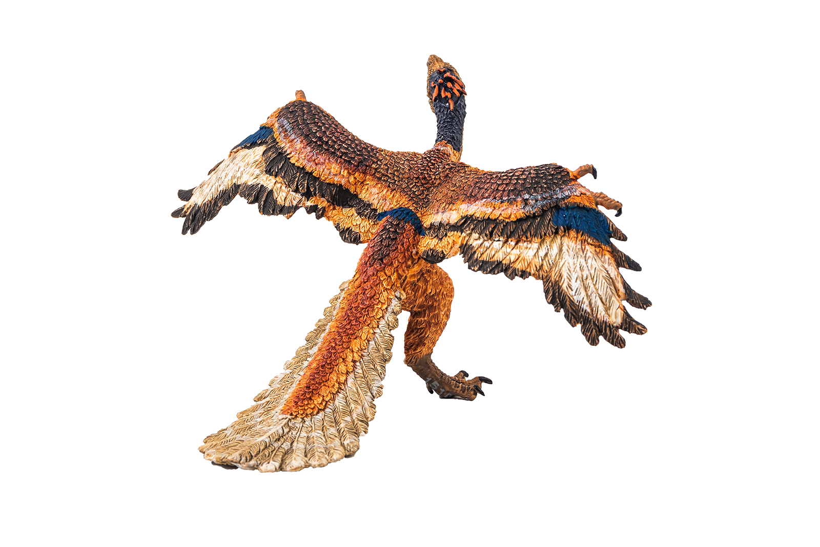 Archaeopteryx