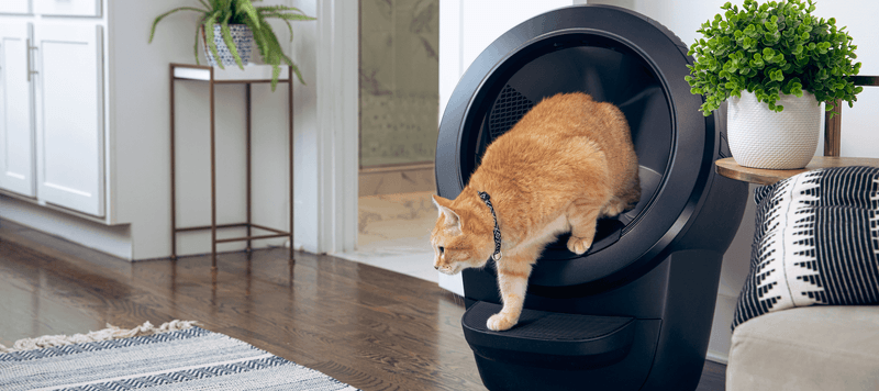 Automatic Litter Boxes Suit All Cats