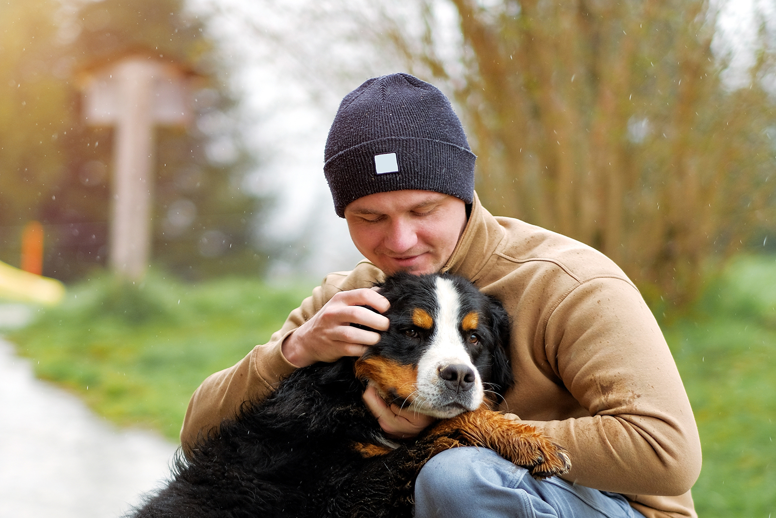 Bernese Mountain Dog and a man